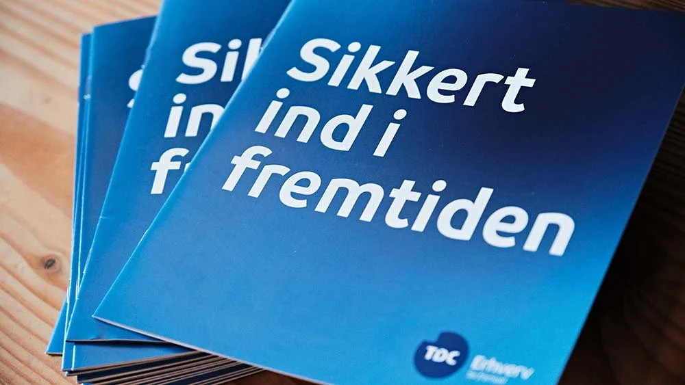 TDC Erhverv - Physical assets layout